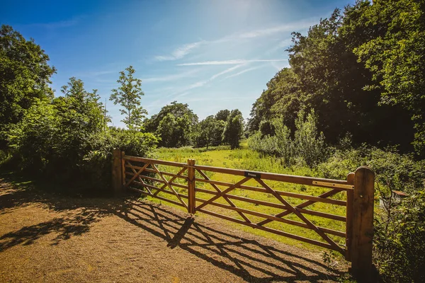 Closeup Wooden Fence Gate Farm Summer Countryside — Stockfoto