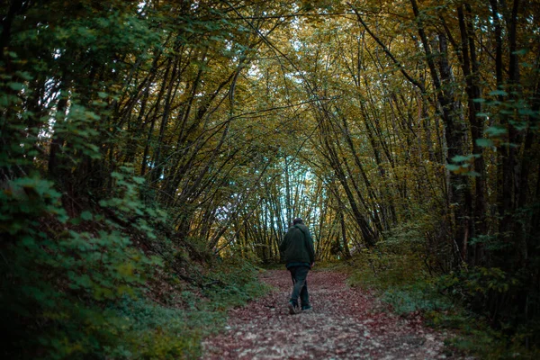 Adult Man Hiking Forest Martani Castell Arquato Italy — Φωτογραφία Αρχείου