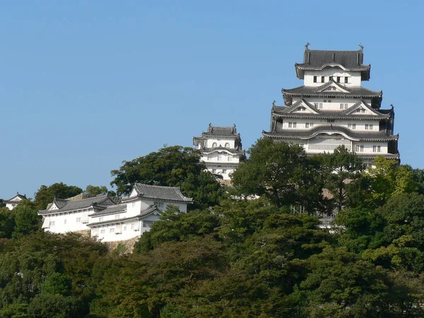 Mesmerizing View Himeji Castle Japan High Green Trees —  Fotos de Stock