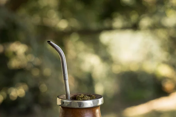 金属の藁でパラサントの木のカップにマットカフェイン豊富な注入飲料 — ストック写真