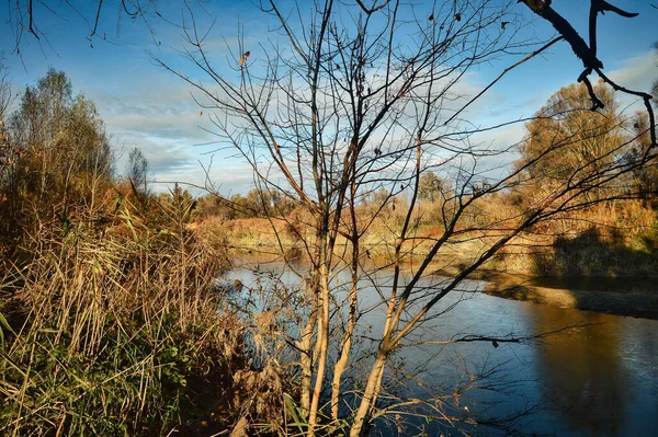 Фото Дикого Природного Заповідника Річки Донау Водою Деревами Стежкою Мостом — стокове фото