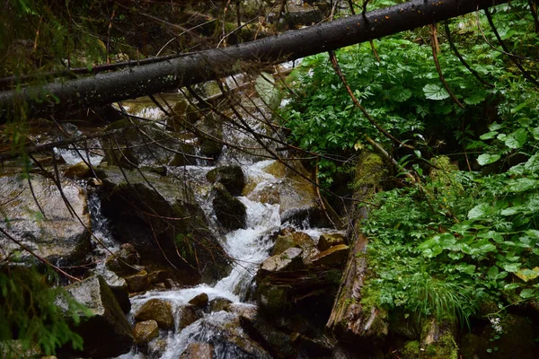 Freshwater Spring Flowing Rough Rocks — Fotografia de Stock