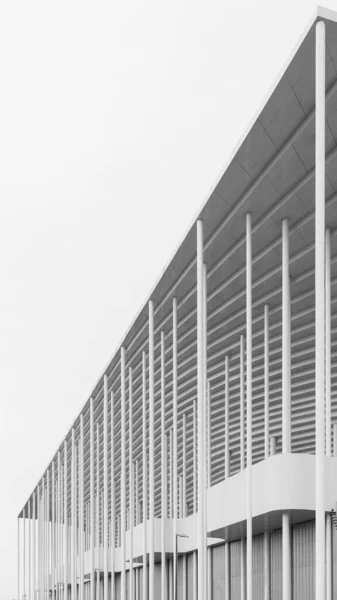 Vertical Grayscale Shot Architectural Details Matmut Atlantique Stadium Bordeaux France — ストック写真