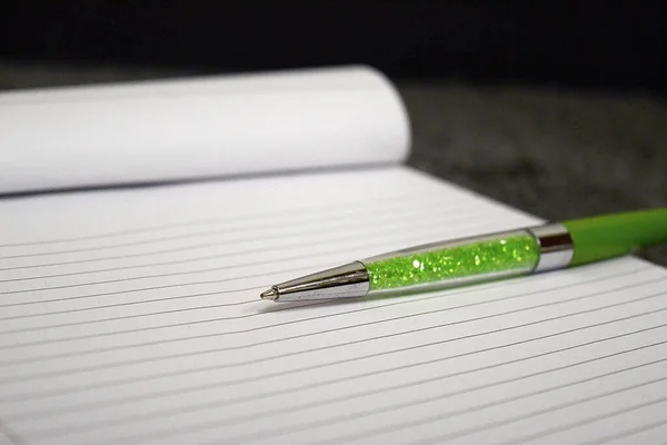 Closeup Green Pen Opened Notebook — Stock fotografie
