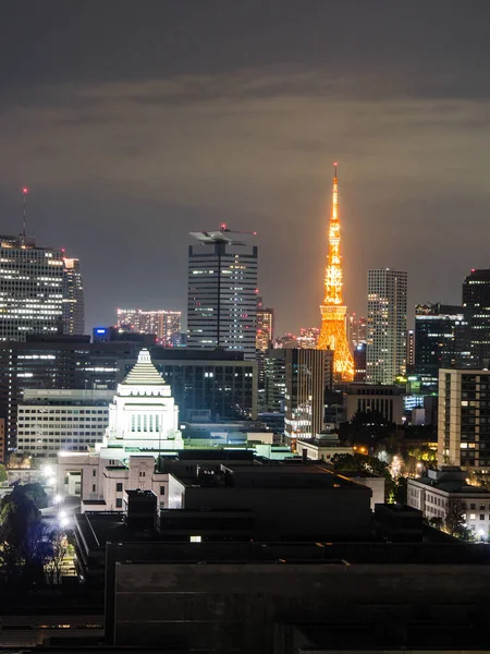 日本东京天际线的美丽风景 — 图库照片