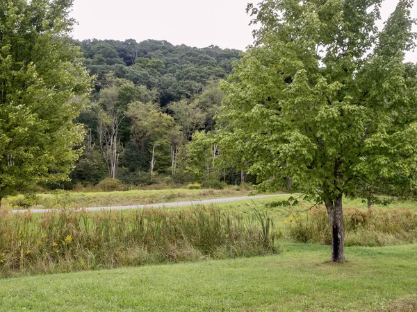 Oil Creek State Park Pennsylvania — Stock fotografie