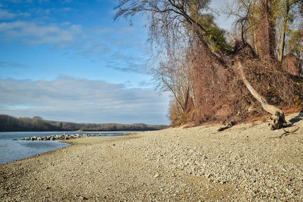 Landscape Photo Austrian Donau River Beach Wild Nature Reserve Area — Stok fotoğraf