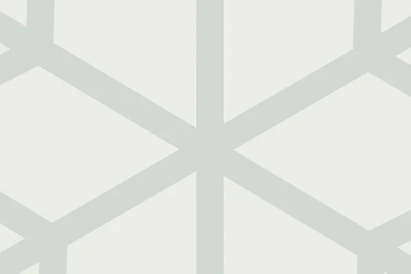 Gray Snowflake Pattern White Background — Stock Photo, Image