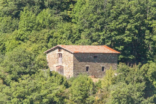 Una Hermosa Vista Una Casa Ladrillo Rodeada Exuberantes Árboles Bajo — Foto de Stock