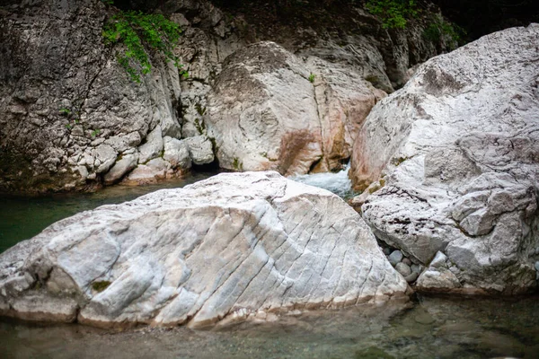 Closeup Shot Flowing River Rocks Forest Martani Castell Arquato Italy —  Fotos de Stock