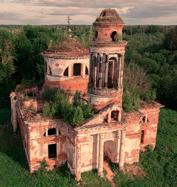 Abandoned Church Growing Plants Roof Forest Cloudy Sky — Φωτογραφία Αρχείου