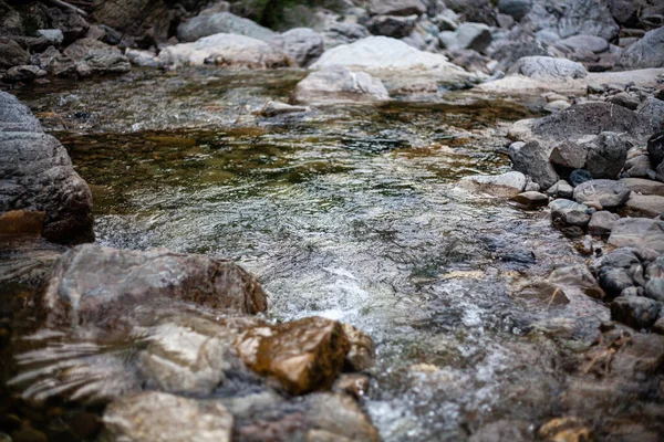 意大利阿尔卡托城堡森林中一条流过岩石的河流的特写镜头 — 图库照片