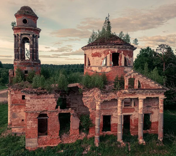 Abandoned Church Growing Plants Roof Forest Cloudy Sky — Stockfoto