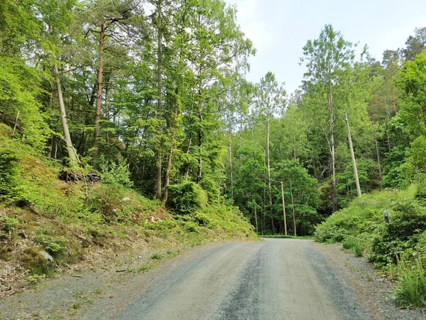 Closeup Shot Asphalt Road Surrounded Nature Larvik Norway — Stock Photo, Image