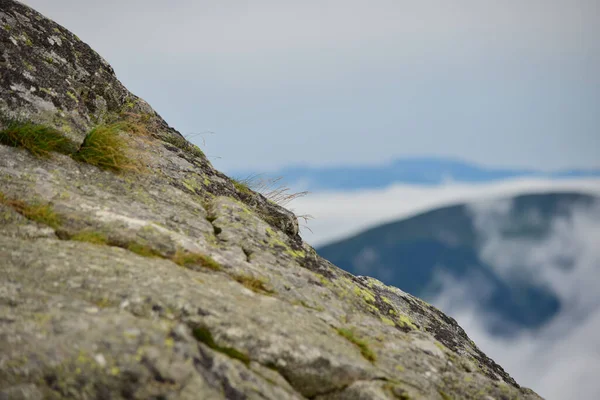 Low Grass Growing Mountainous Areas — Stock Fotó