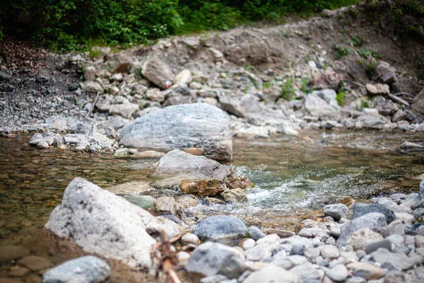 Closeup Shot Flowing River Rocks Forest Martani Castell Arquato Italy — Stock Photo, Image