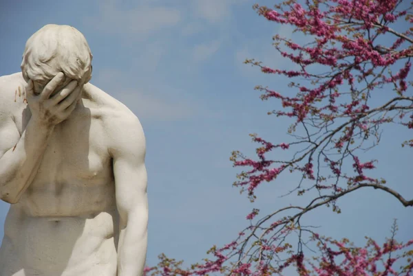 Male Statue Ashamed Pink Blossoms Blue Sky —  Fotos de Stock