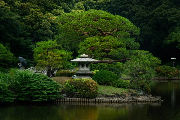 Beautiful View Shinjuku Gyoen National Garden Tokyo Japan — Stock Photo, Image