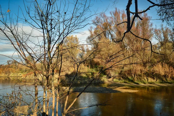 Paysage Photo Rivière Autrichienne Donau Réserve Naturelle Sauvage Avec Côté — Photo