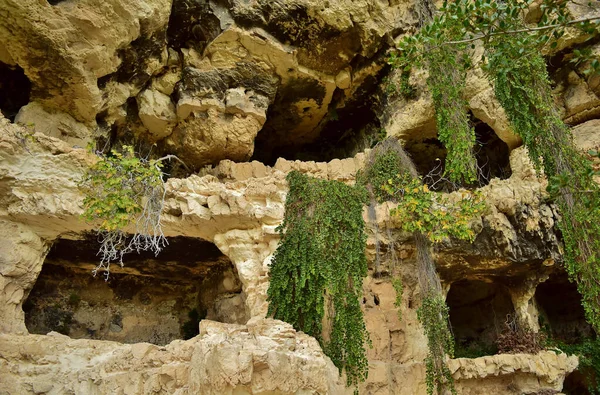 Sicily Italy Nov 2015 Cliff Face Cava Ispica Canyon Sicily — Φωτογραφία Αρχείου