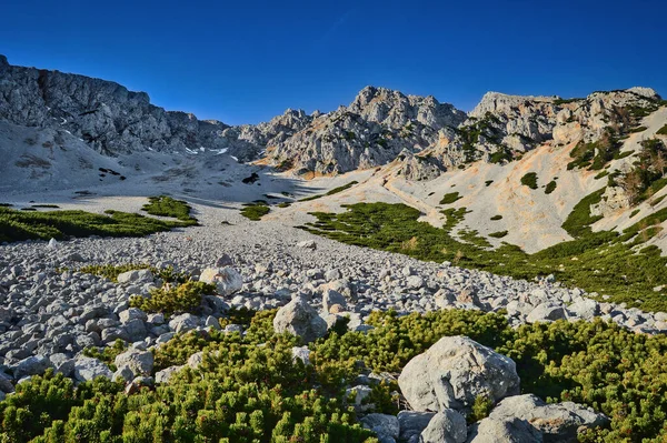 オーストリアのハイキングの楽園の風景写真Schneberg Breite Ries ラフ岩 カイアーシュタイン ナンドグラート 木と青空のピーク — ストック写真
