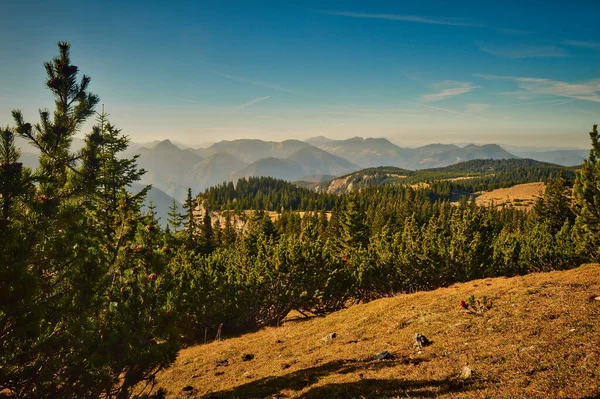 Landschaftsbild Des Österreichischen Wanderparadieses Schneeberg Aufgenommen Auf Dem Berggipfel Echtes — Stockfoto