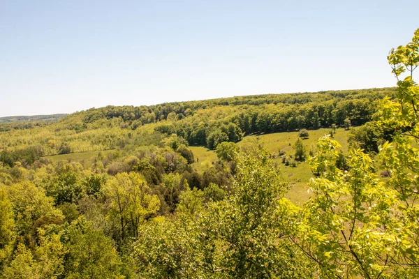 Beautiful Shot Skinners Bluff Ontario Canada Sunny Day — Stock Fotó