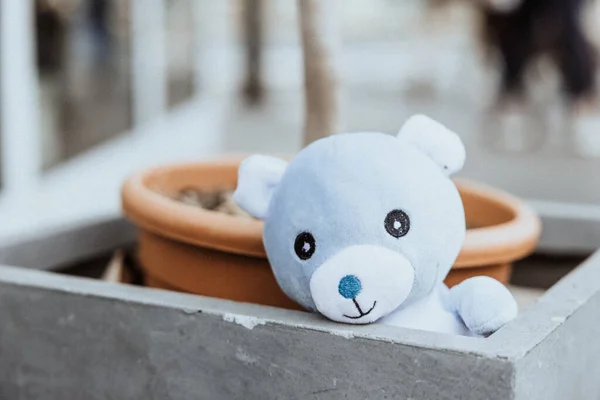 Słodki Mały Niedźwiedź Zabawka Garnek Zewnątrz — Zdjęcie stockowe
