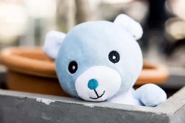 Cute Small Bear Toy Pot Outdoors — Stock Photo, Image