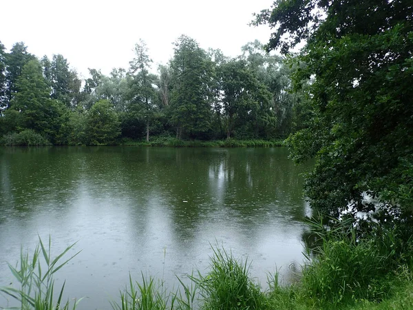 Belo Tiro Lago Tranquilo Parque Cercado Por Vegetação Verde Fresca — Fotografia de Stock