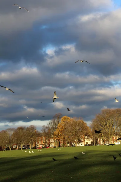 Een Verticaal Shot Van Bewolkte Lucht — Stockfoto