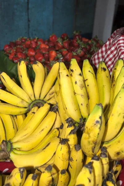 Bunch Bananas Musa Paradisiaca Guatemala Central America — Stock Photo, Image