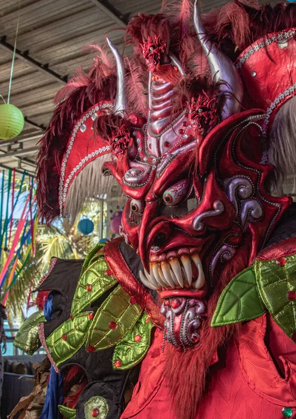 Colpo Verticale Costume Colorato Festival Mostro — Foto Stock