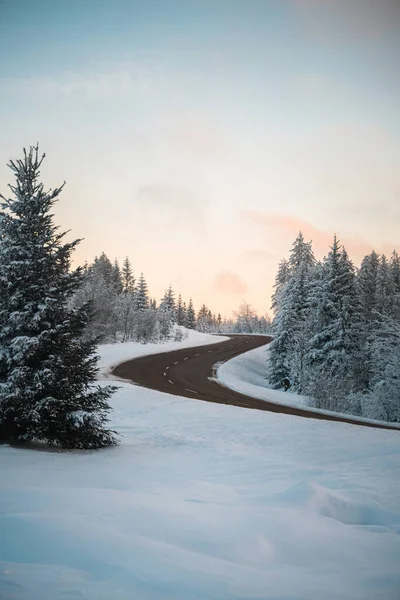 Узкая Извилистая Однополосная Дорога Через Покрытый Снегом Сосновый Лес Закате — стоковое фото