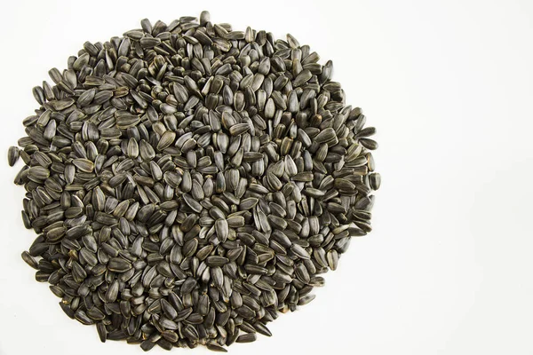 Heap Sunflower Seeds White Background — Stock Photo, Image