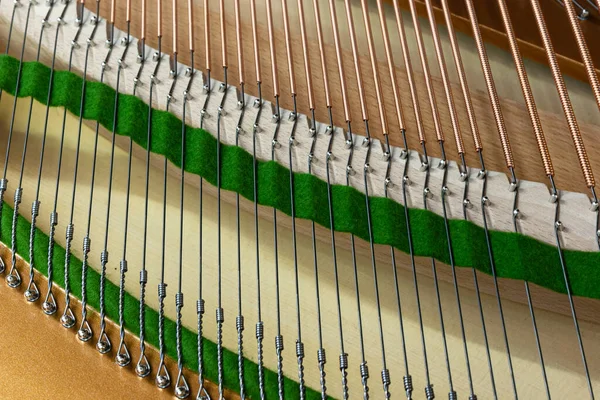 Muitas Cordas Cavilhas Afinação Com Feltro Piano Cauda — Fotografia de Stock