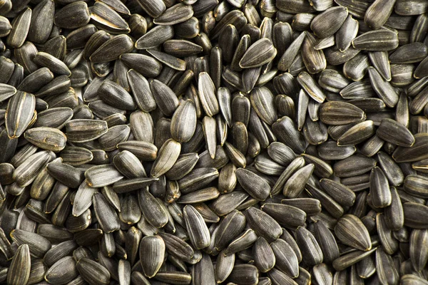 Top View Heap Sunflower Seeds — Stock Photo, Image
