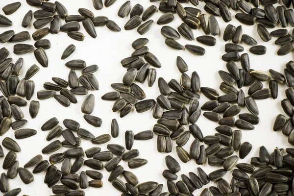 Heap Sunflower Seeds White Background — Fotografia de Stock