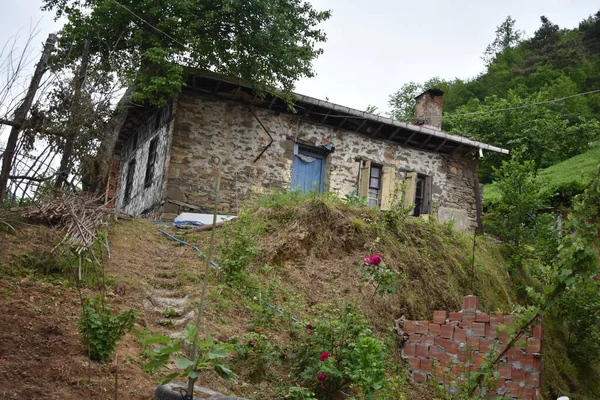 Closeup Shot Old House Surrounded Greenery — Zdjęcie stockowe