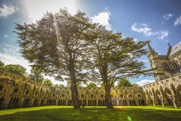 Patio Trasero Catedral Salisbury Con Dos Árboles Hoja Caduca Reino — Foto de Stock