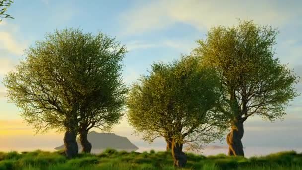 Photorealistic Motion Background Untouched Mediterranean Nature Landscape Green Olive Trees — Stock Video