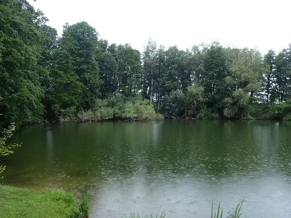 Belo Tiro Lago Tranquilo Parque Cercado Por Vegetação Verde Fresca — Fotografia de Stock