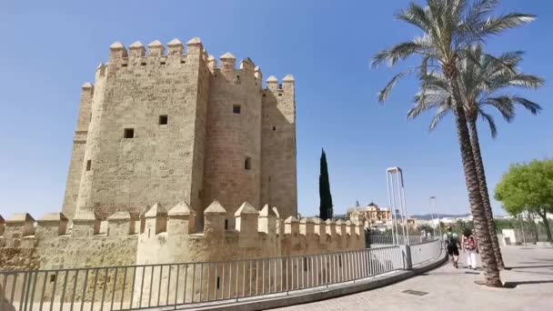 Vista Del Arco Histórico Torre Calahorra Córdoba España — Vídeo de stock