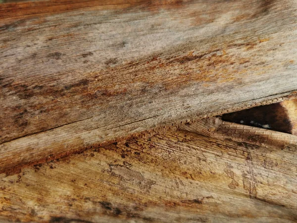 Closeup Shot Palm Tree Trunk Texture Captured Malaga Spain — Stock Photo, Image