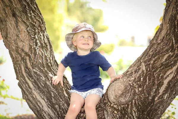 Lycklig Blond Australiensisk Unge Som Sitter Mellan Två Grenar Ett — Stockfoto