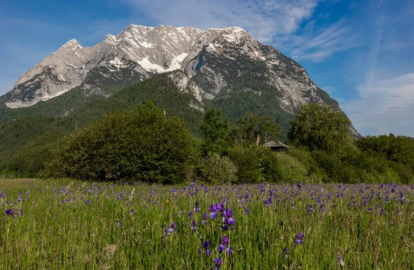 Una Vista Panorámica Del Pico Grimming Las Montañas Dachstein Austria —  Fotos de Stock