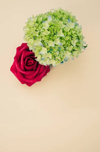 Una Toma Vertical Brotes Hortensia Francesa Con Una Rosa Sobre — Foto de Stock