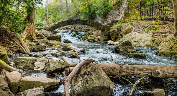 Una Vista Natural Pequeño Puente Arqueado Sobre Arroyo Bosque — Foto de Stock