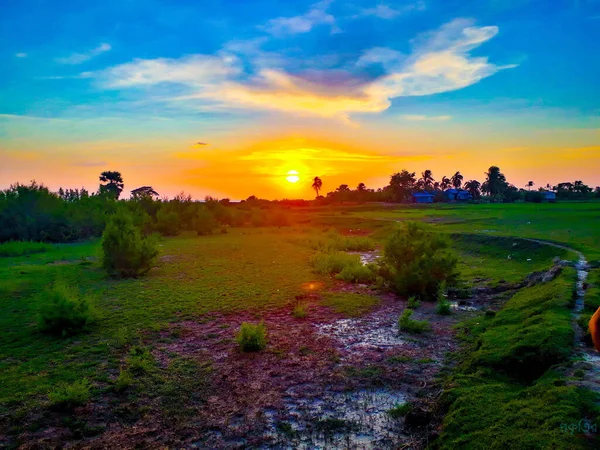 Een Prachtig Uitzicht Een Veld Met Fris Groen Bij Zonsondergang — Stockfoto