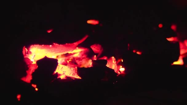 밤중에 밖에서 장작을 태우는 클로저 — 비디오